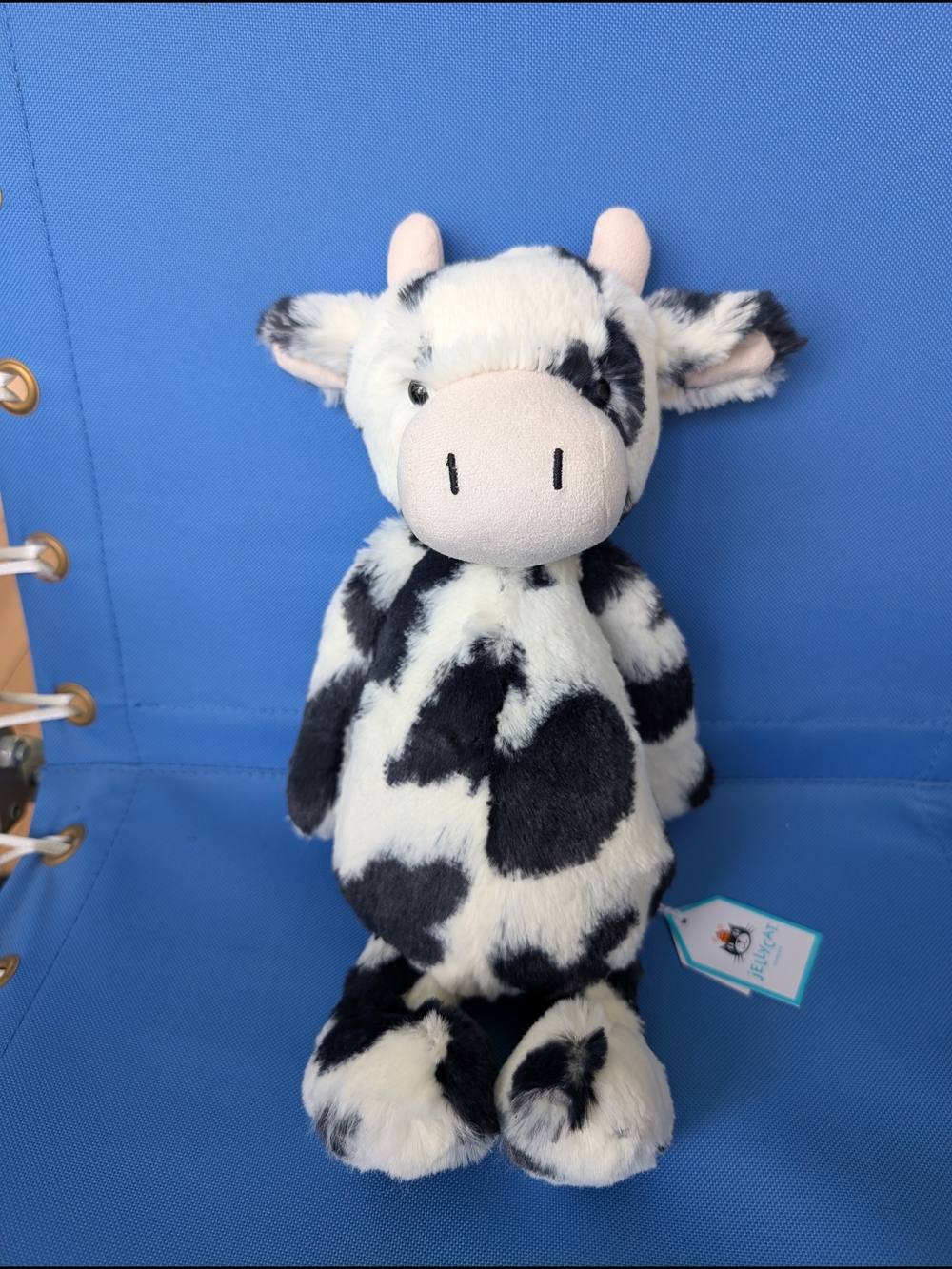 Bashful Calf BNWT